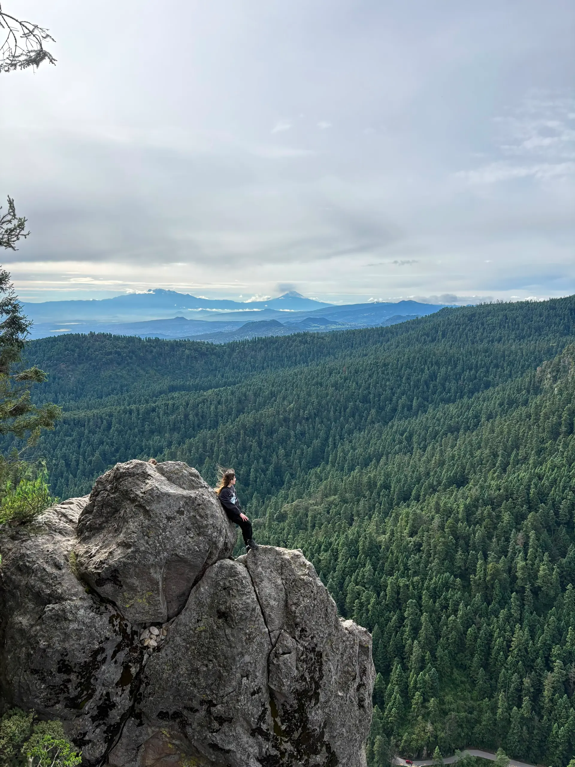 Vista panorámica del bosque desde una roca